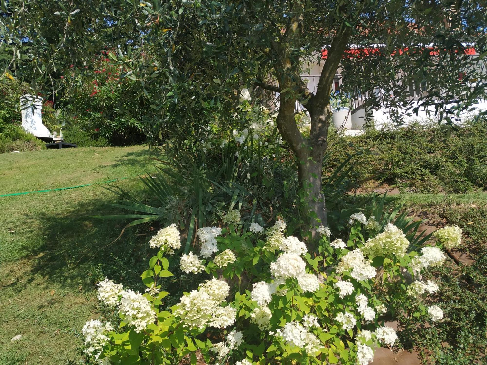 Villa Casa Fellini San Zeno di Montagna Exterior foto